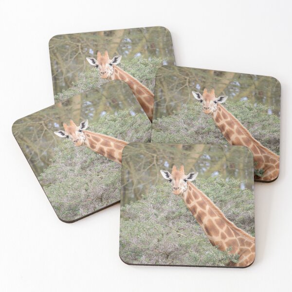 Item preview, Giraffe eating from an Acacia Tree designed and sold by Zoo-World.