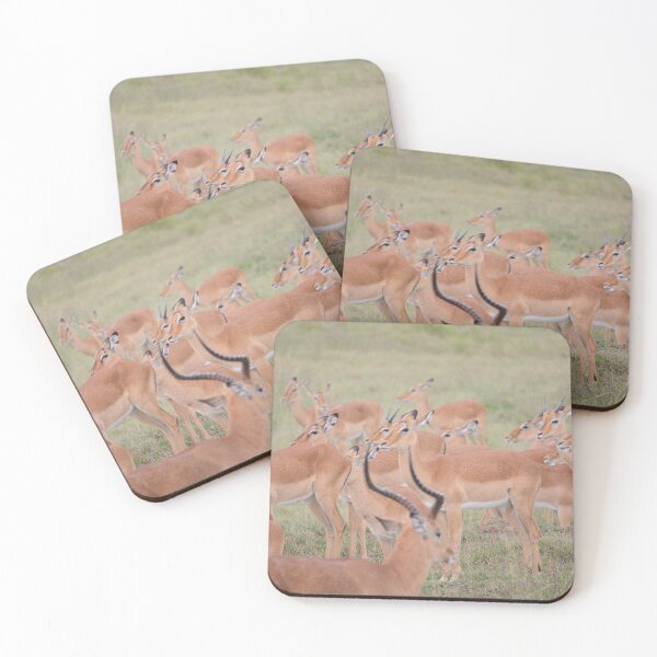 Item preview, Impala Herd designed and sold by Zoo-World.