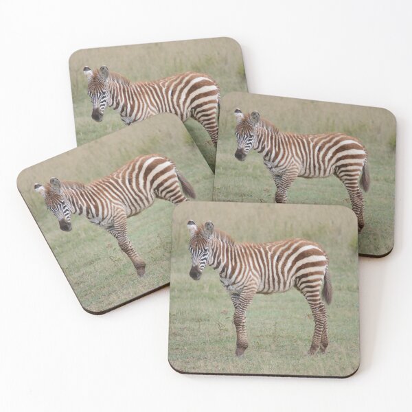 Item preview, Baby Zebra designed and sold by Zoo-World.