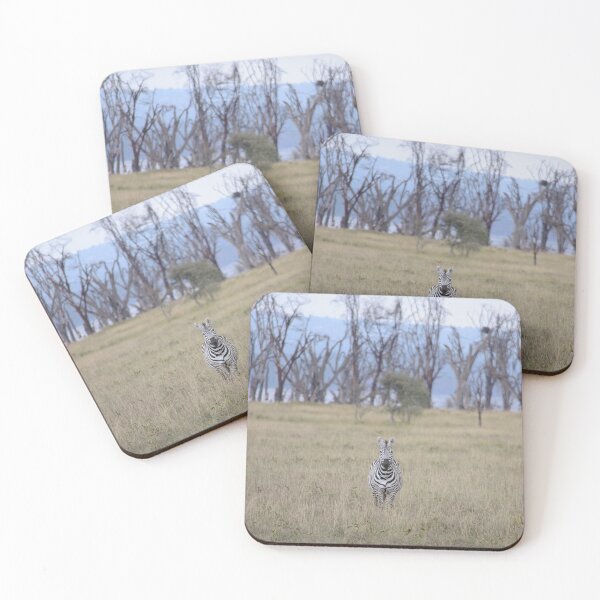 Item preview, The Zebra stare designed and sold by Zoo-World.