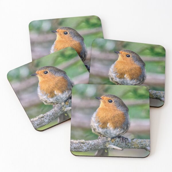 Item preview, Robin Redbreast designed and sold by Tom McPherson Photography.