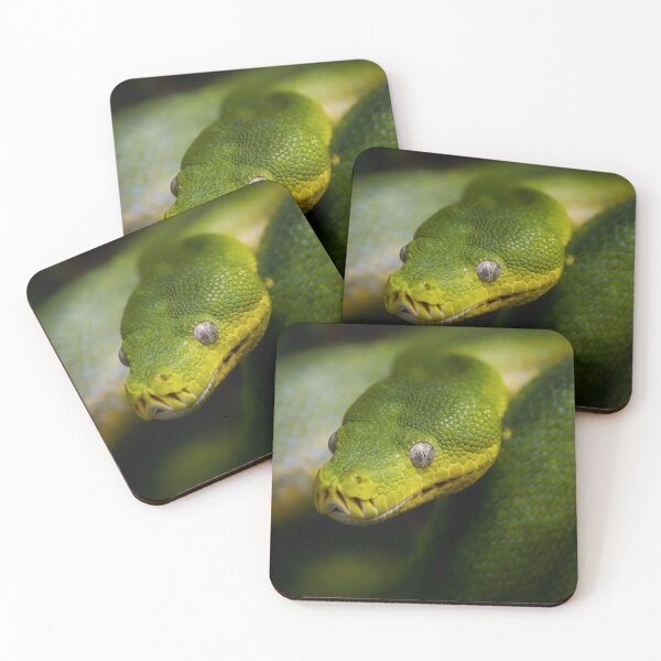 Item preview, Close-up portrait of a green tree python with vivid scales and piercing eyes designed and sold by RastislavS.