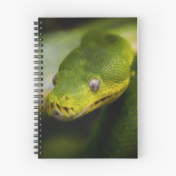 Item preview, Close-up portrait of a green tree python with vivid scales and piercing eyes designed and sold by RastislavS.