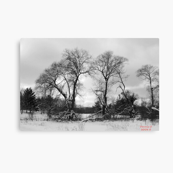 The Stand Canvas Print