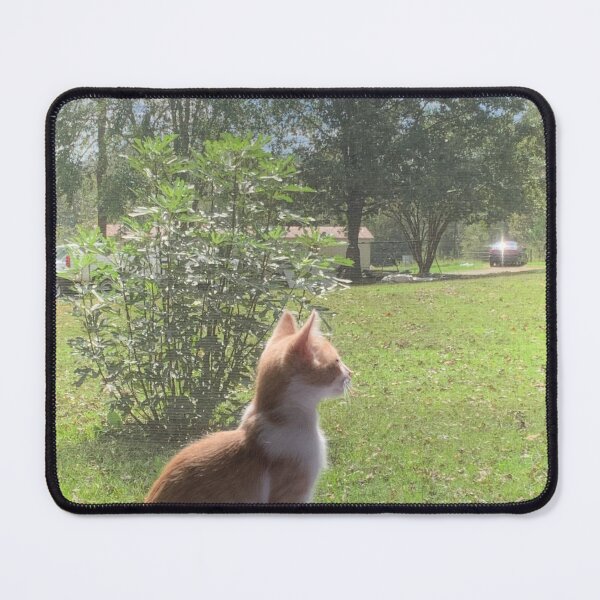 Item preview, Kitty in window designed and sold by recycledstar.