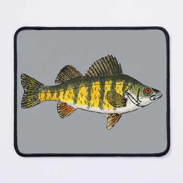 Item preview, Yellow Perch designed and sold by fishfolkart.