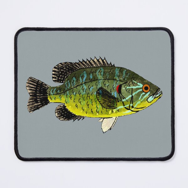 Item preview, Warmouth Sunfish designed and sold by fishfolkart.