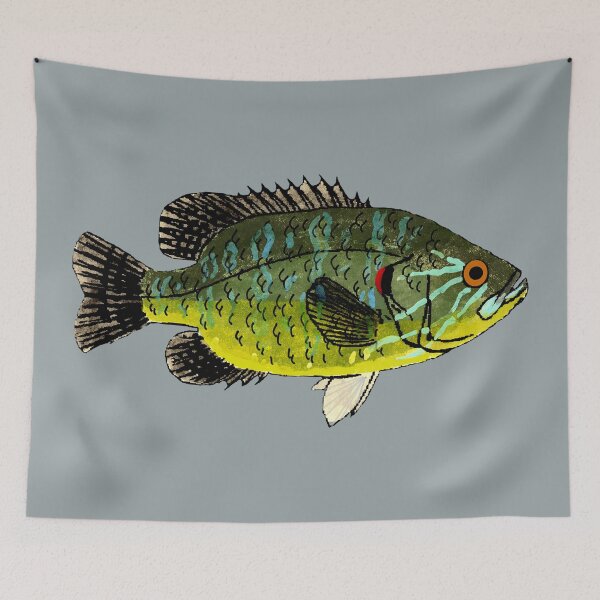 Item preview, Warmouth Sunfish designed and sold by fishfolkart.