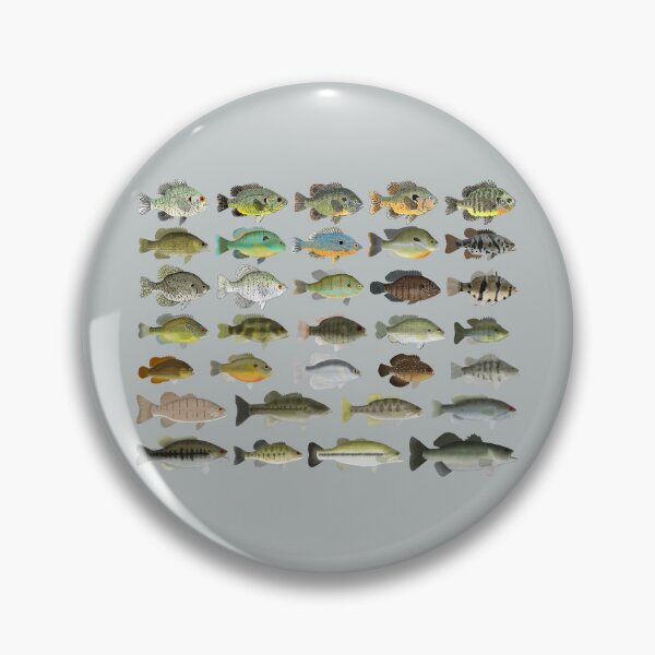 Item preview, Sunfish Family designed and sold by fishfolkart.