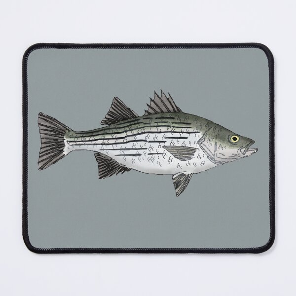 Item preview, White Bass designed and sold by fishfolkart.