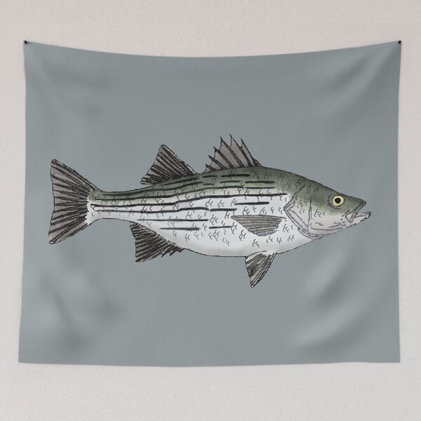 Item preview, White Bass designed and sold by fishfolkart.