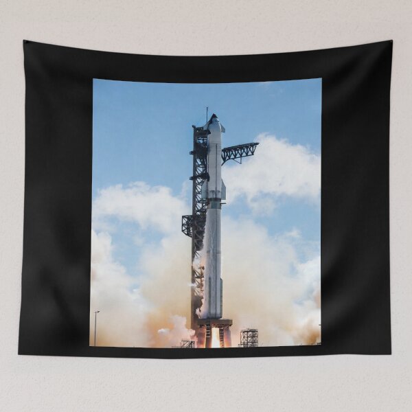 Item preview, spacex starship designed and sold by TEEJAMBOREE.