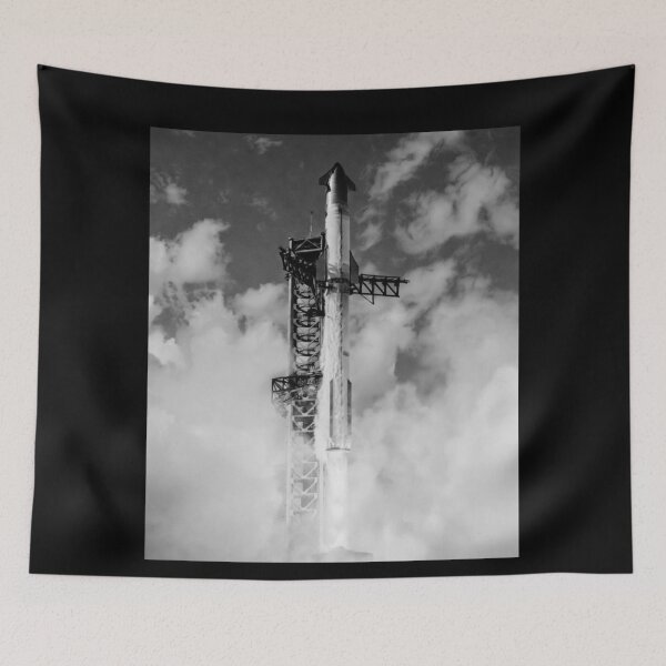 Item preview, spacex starship designed and sold by TEEJAMBOREE.