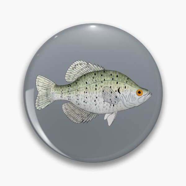Item preview, White Crappie designed and sold by fishfolkart.