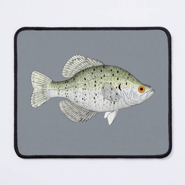 Item preview, White Crappie designed and sold by fishfolkart.