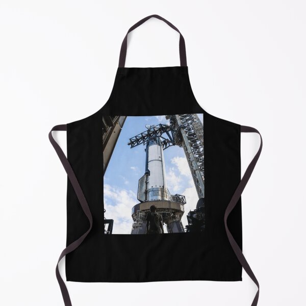 Item preview, spacex starship designed and sold by TEEJAMBOREE.