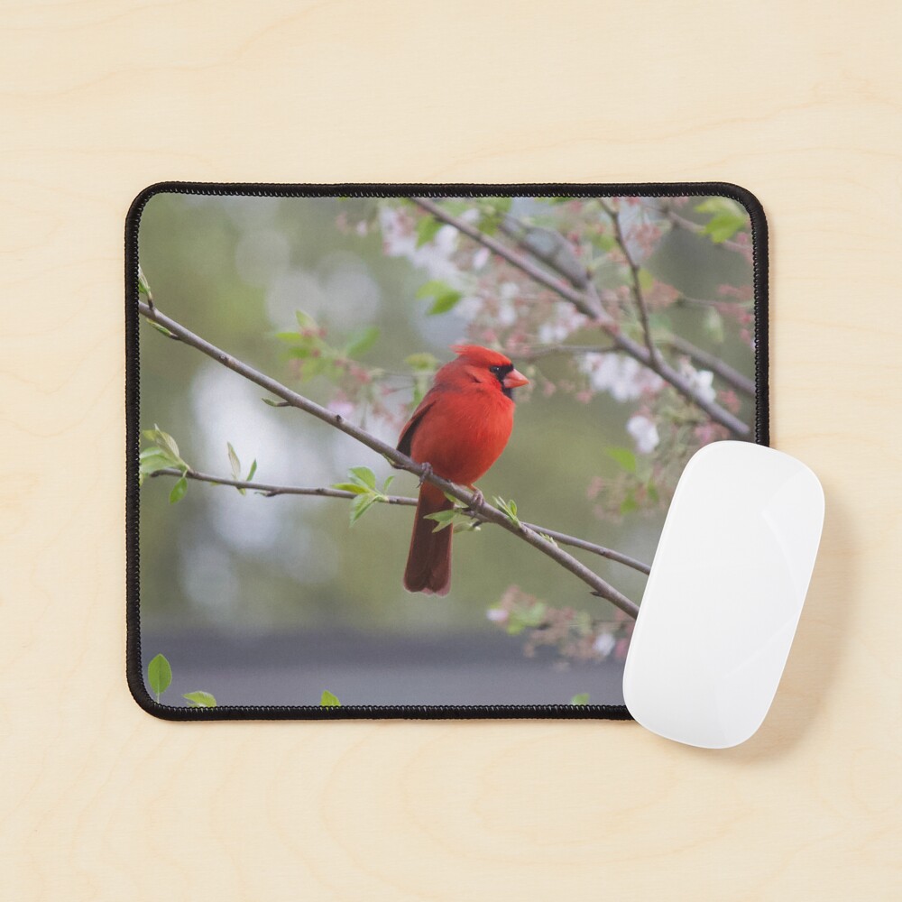 Item preview, Mouse Pad designed and sold by Lsteuart.