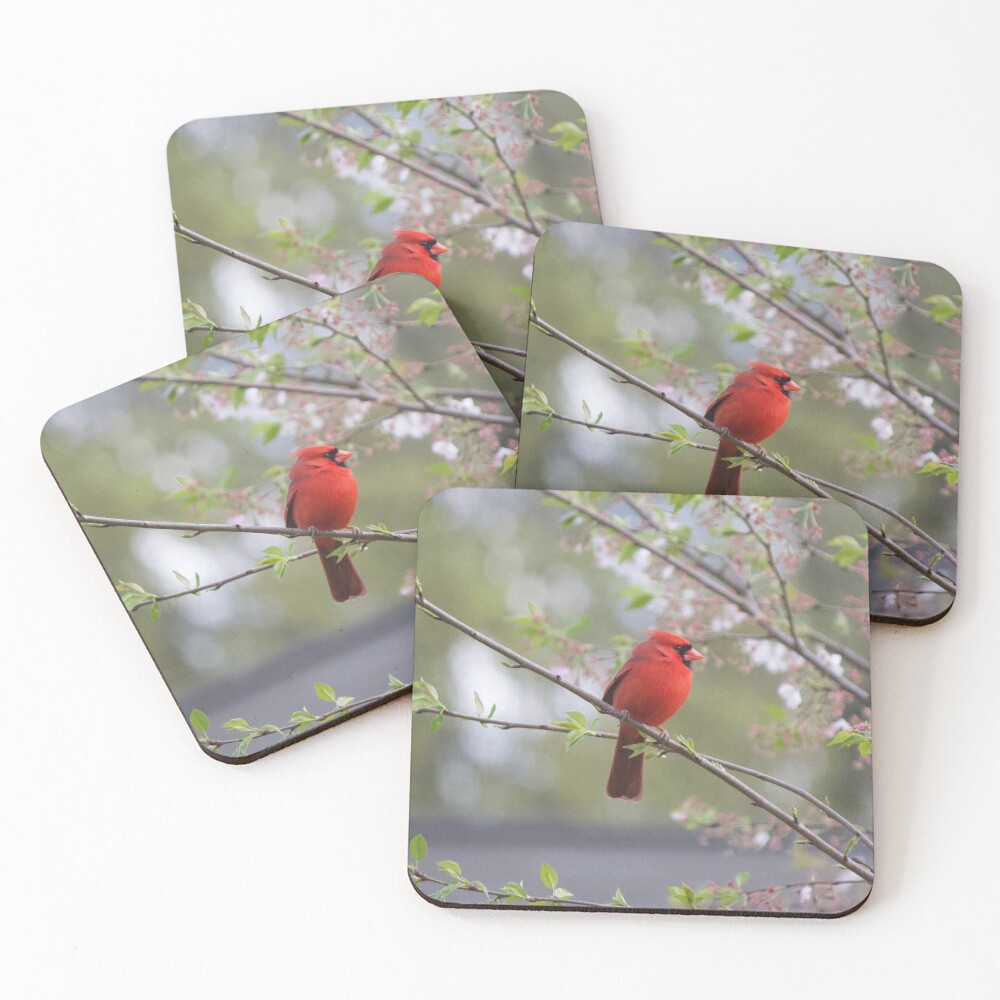 Item preview, Coasters (Set of 4) designed and sold by Lsteuart.