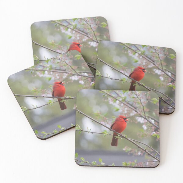 Item preview, Red Cardinal in Spring designed and sold by Lsteuart.