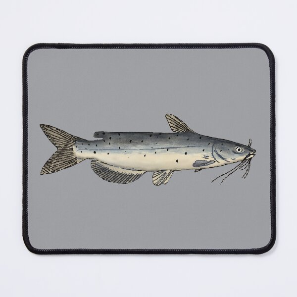 Item preview, Channel Catfish (Juvenile) designed and sold by fishfolkart.