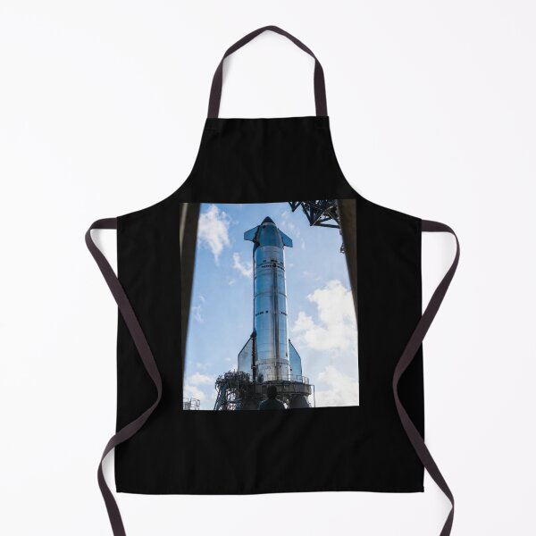 Item preview, spacex starship designed and sold by TEEJAMBOREE.