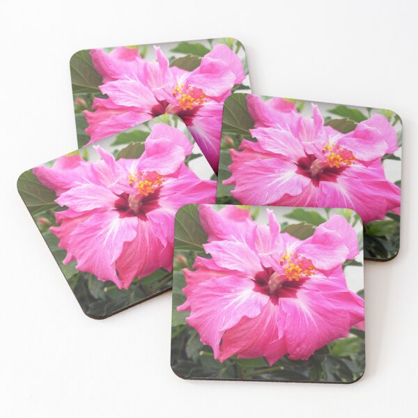 Item preview, hibiscus designed and sold by birgitsfotoshop.