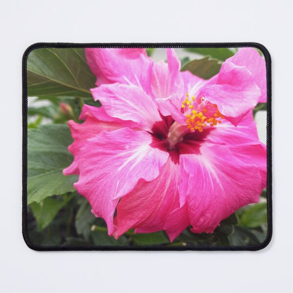 Item preview, hibiscus designed and sold by birgitsfotoshop.