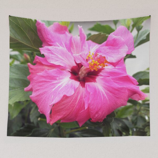 Item preview, hibiscus designed and sold by birgitsfotoshop.