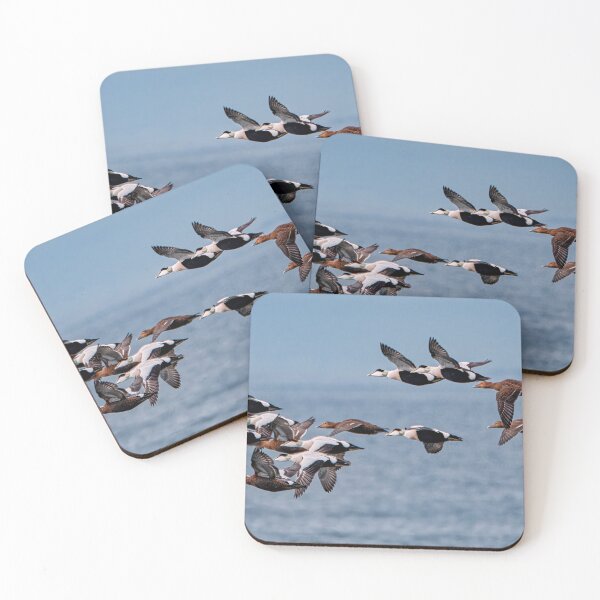 Item preview,  Eider Ducks in Flight designed and sold by Tom McPherson Photography.