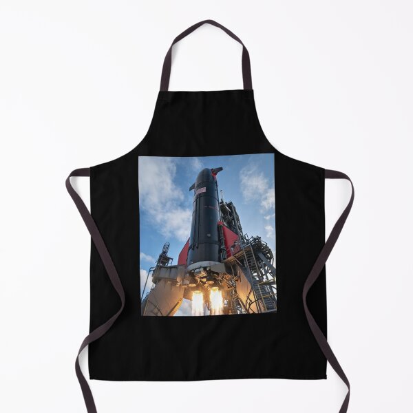 Item preview, spacex starship designed and sold by TEEJAMBOREE.