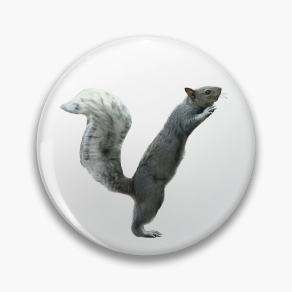 Item preview, Gonads and Strife – Early Internet Meme Squirrel designed and sold by TheDisloyalists.