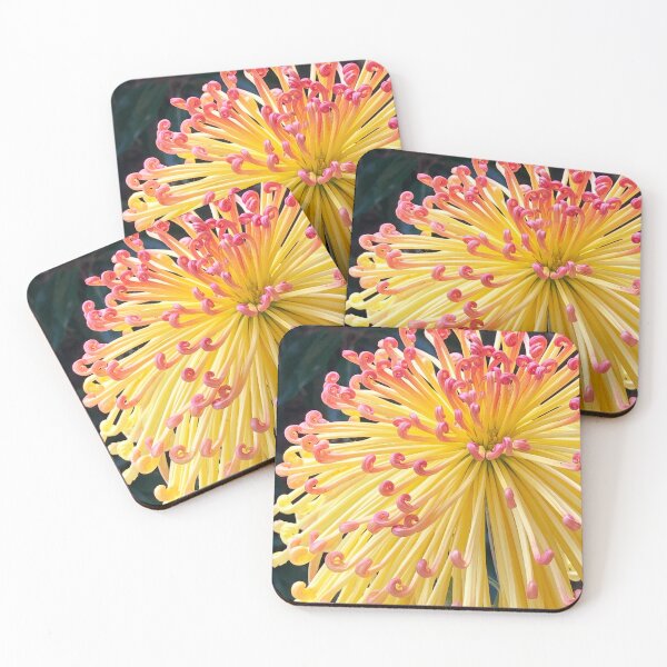 Item preview, Autumn Asian Chrysanthemum  designed and sold by Lsteuart.