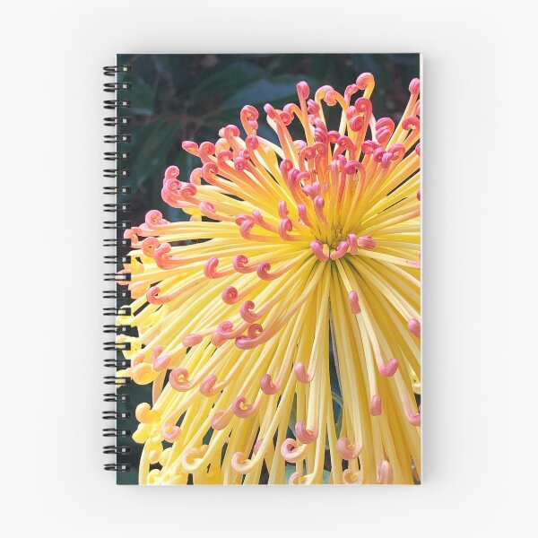 Item preview, Autumn Asian Chrysanthemum  designed and sold by Lsteuart.