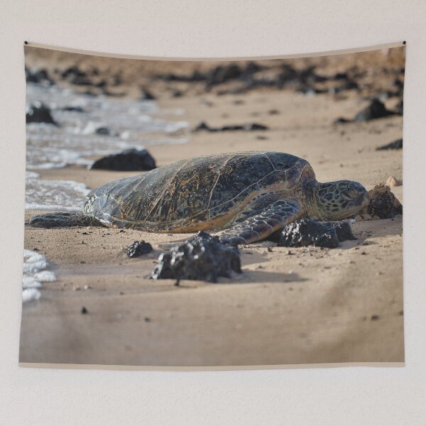 Item preview, Sea Turtle Resting and Sunbathing on the Hawaiian Beach designed and sold by izzetsafer.