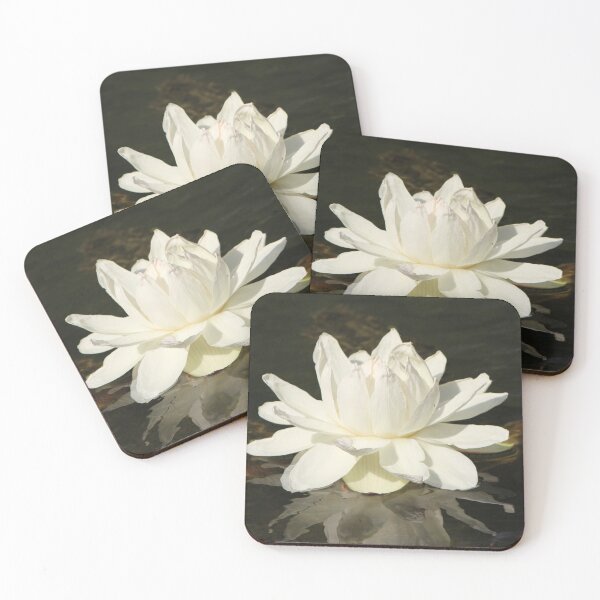 Item preview, Portrait of a Water Lily   designed and sold by Lsteuart.
