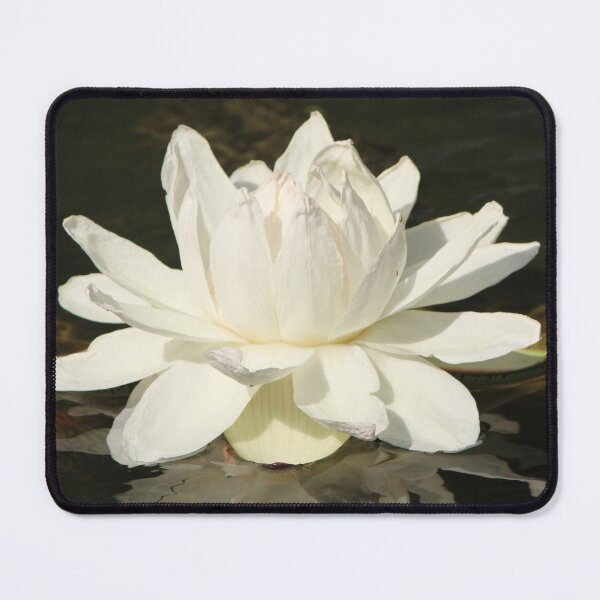 Item preview, Portrait of a Water Lily designed and sold by Lsteuart.
