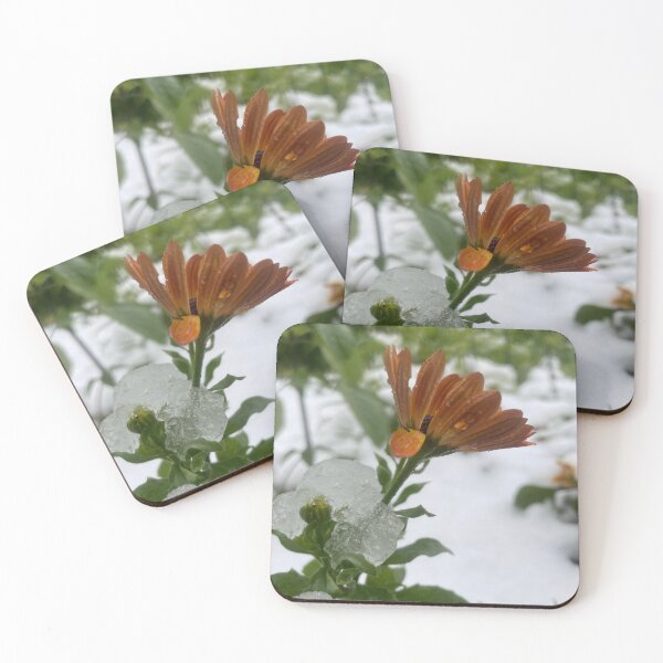 Item preview, Brave little flower surviving in the cold designed and sold by LittleShopByPam.