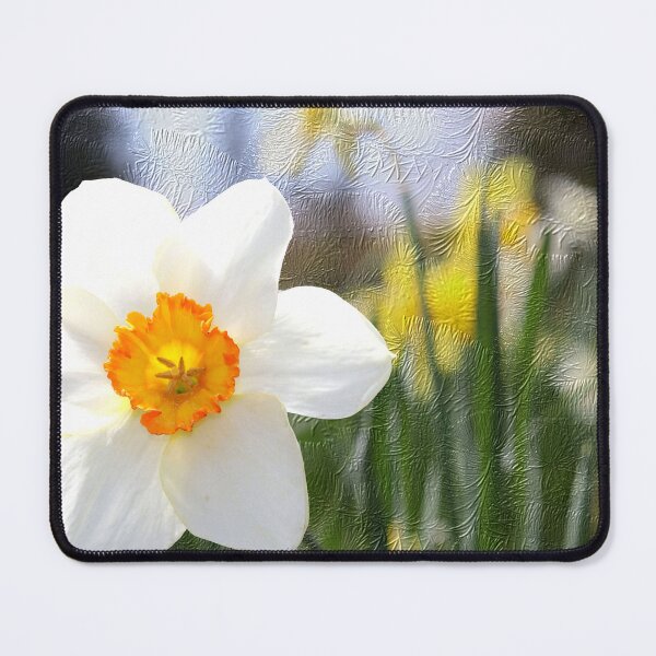 Item preview, Daffodil Standout designed and sold by BostonArcImage.