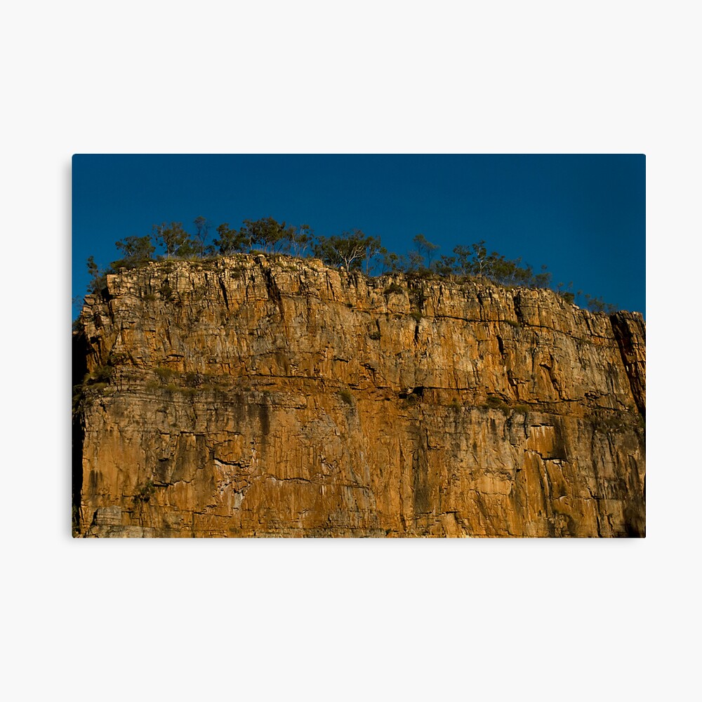 Top Heavy Canvas Print