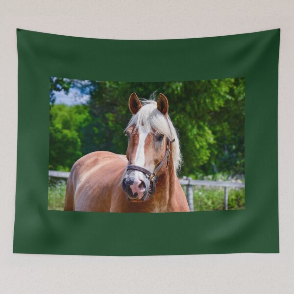 Item preview, Horse Portrait designed and sold by Creatively Colette’s .