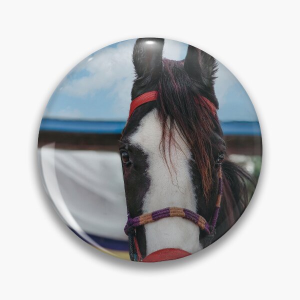 Item preview, Mawari Horse of India designed and sold by Kay Brewer.