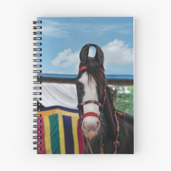Item preview, Mawari Horse of India designed and sold by Kay Brewer.