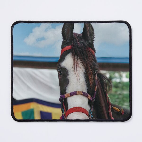 Item preview, Mawari Horse of India designed and sold by Kay Brewer.