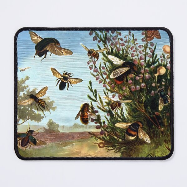 Item preview, Alfred Brehm - Life of Insects designed and sold by Jon-Baran.
