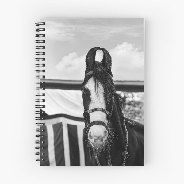 Item preview, Mawari Horse of India in Black and White designed and sold by Kay Brewer.