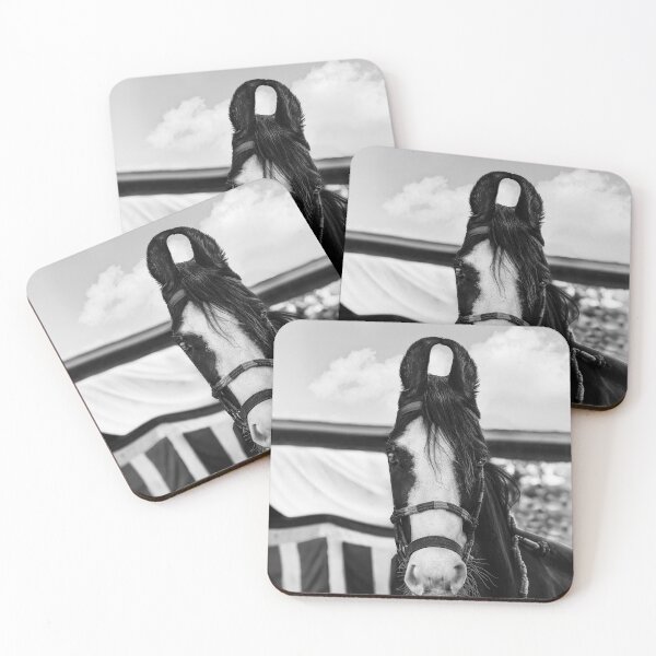 Item preview, Mawari Horse of India in Black and White designed and sold by Kay Brewer.