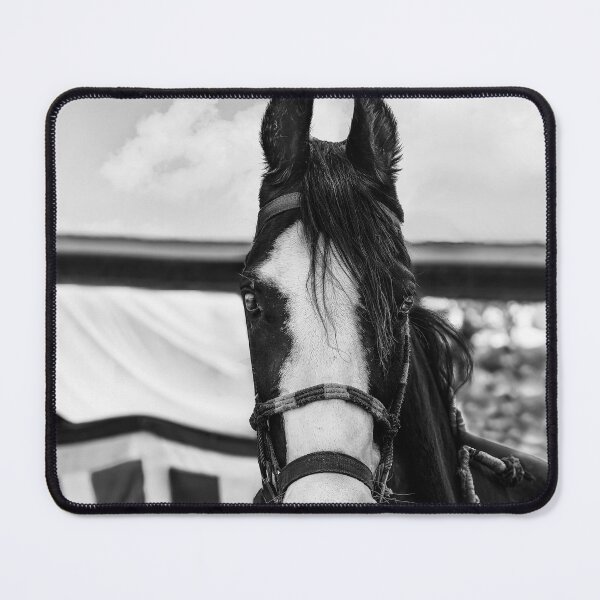 Item preview, Mawari Horse of India in Black and White designed and sold by Kay Brewer.