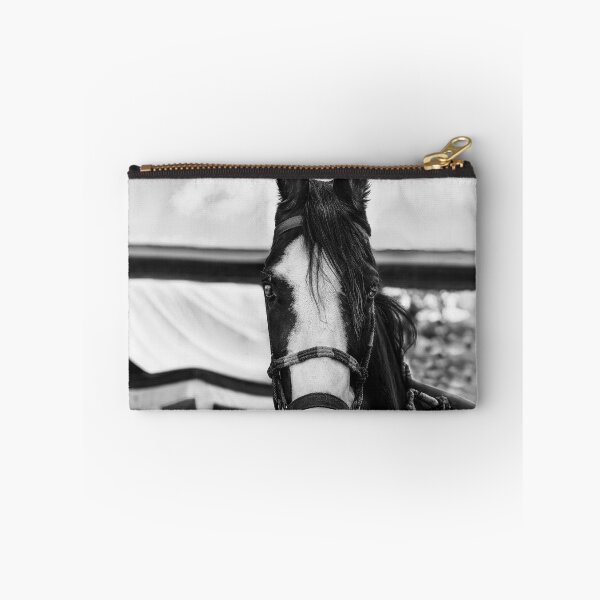 Item preview, Mawari Horse of India in Black and White designed and sold by Kay Brewer.