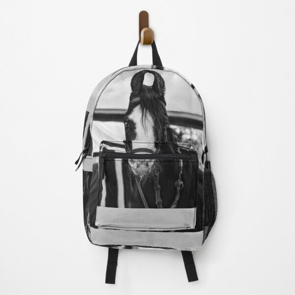 Item preview, Mawari Horse of India in Black and White designed and sold by Kay Brewer.