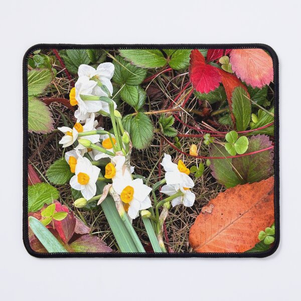 Item preview, 苺の葉、水仙、隼人瓜 Blessings from Garden, Dec. 2025 designed and sold by Ula Shibazaki.